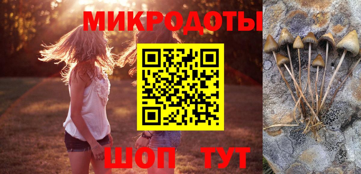 Гулькевичи  Псилоцибиновые грибы MAGIC MUSHROOMS  Вход с VPN 